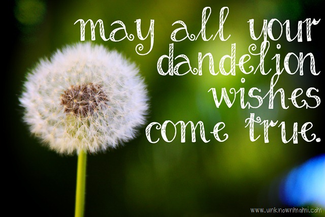 dandelion wishes quotes
